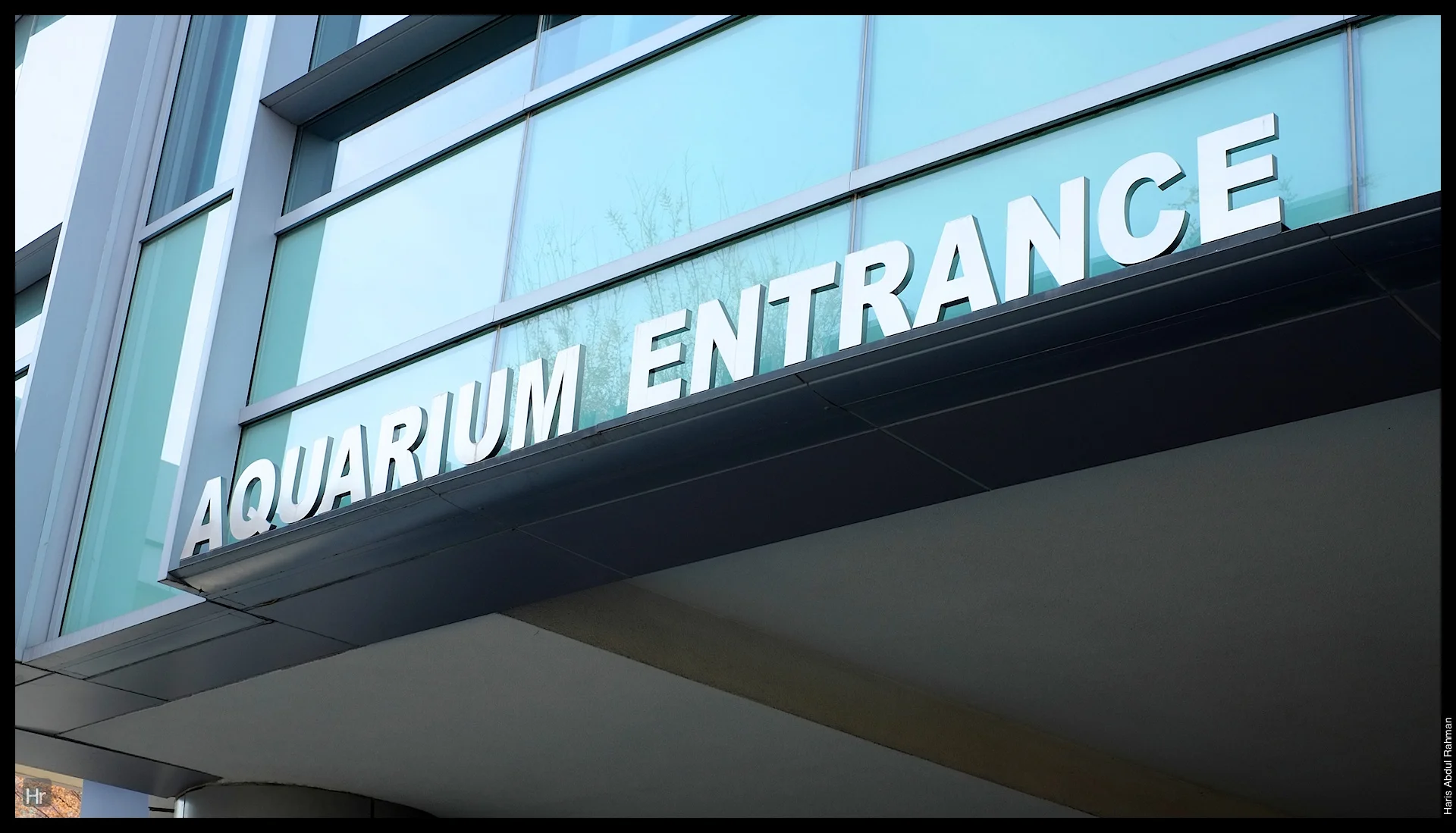 121207 Georgia Aquarium 3.jpg