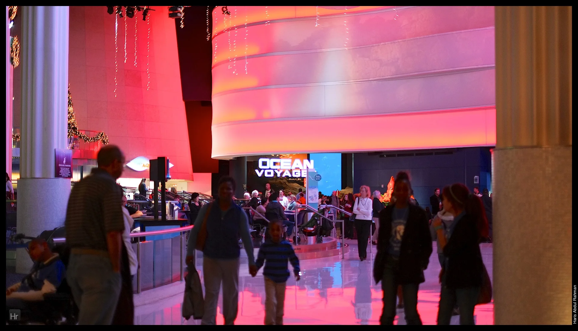 121207 Georgia Aquarium 9.jpg