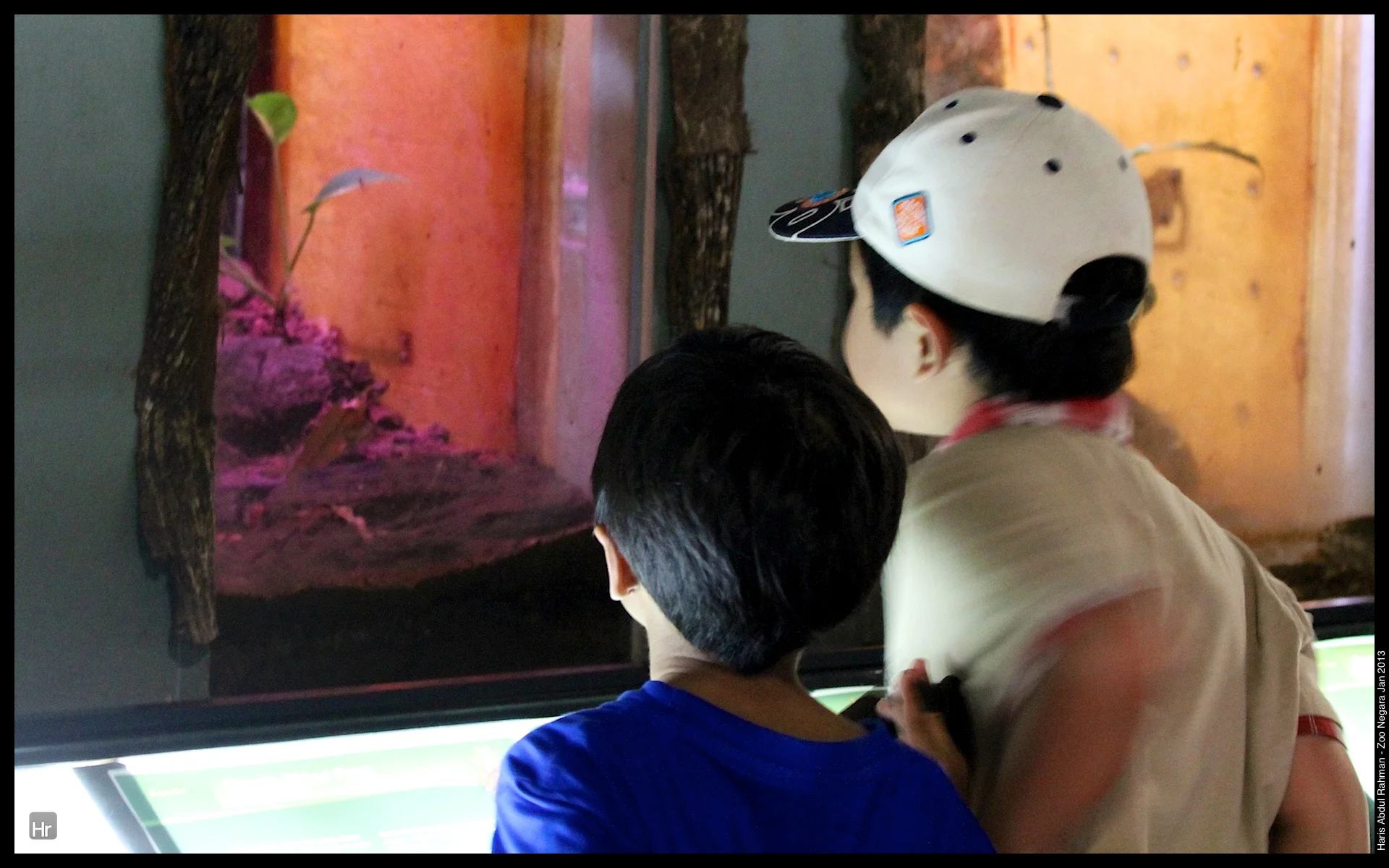 120127 Zoo Negara 21.jpg