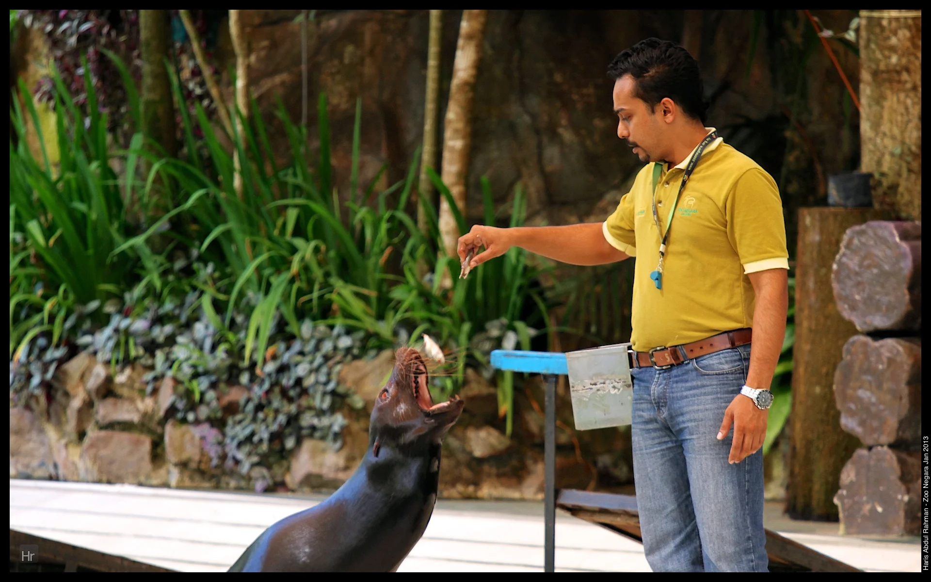 120127 Zoo Negara 29.jpg