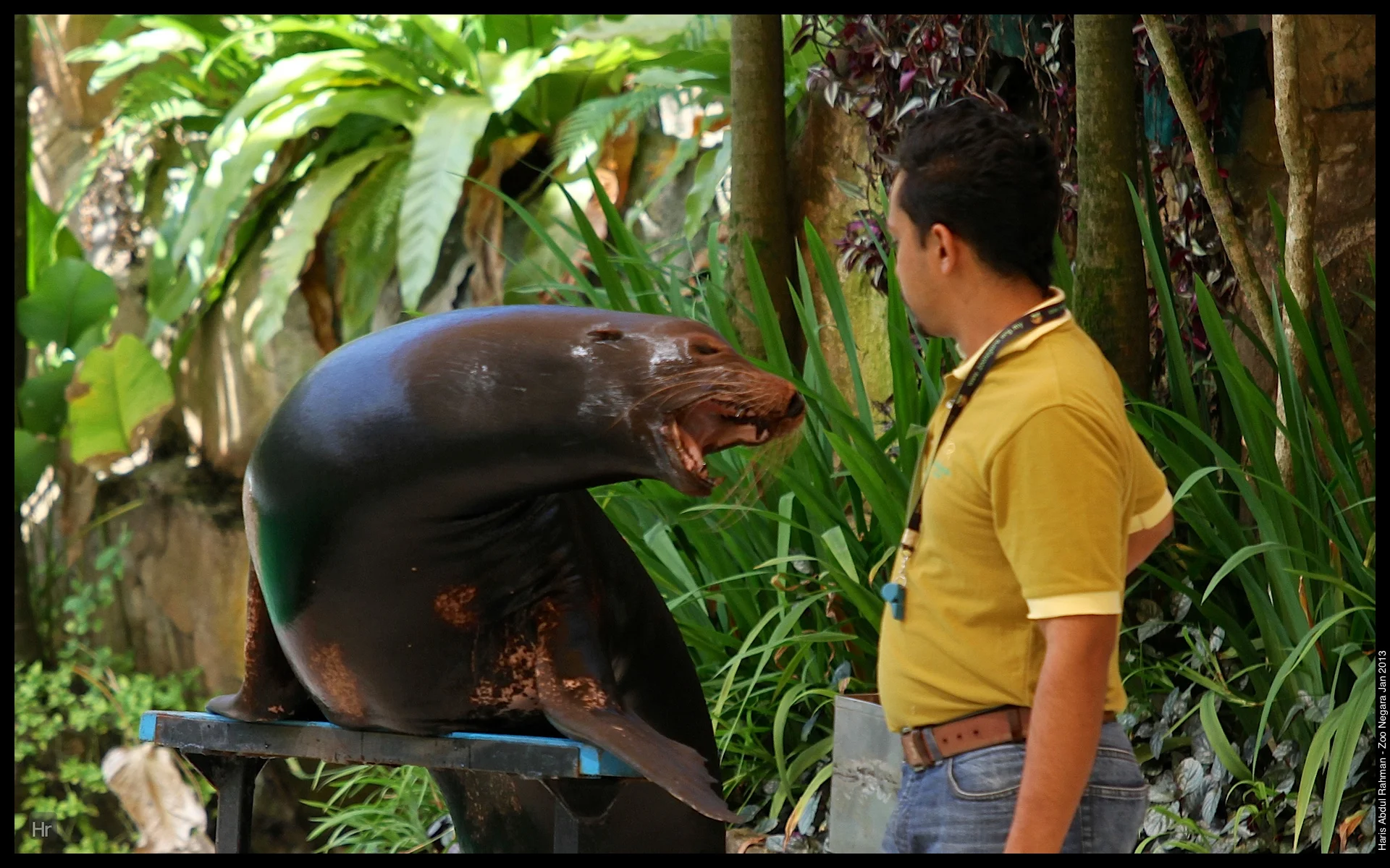 120127 Zoo Negara 33.jpg