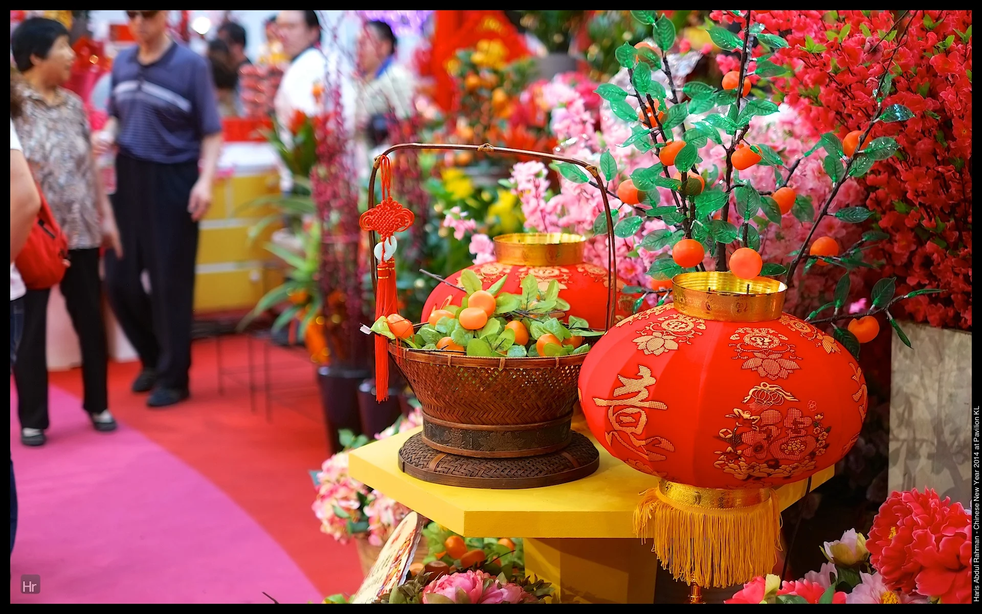 140111 Pavilion CNY 6.jpg