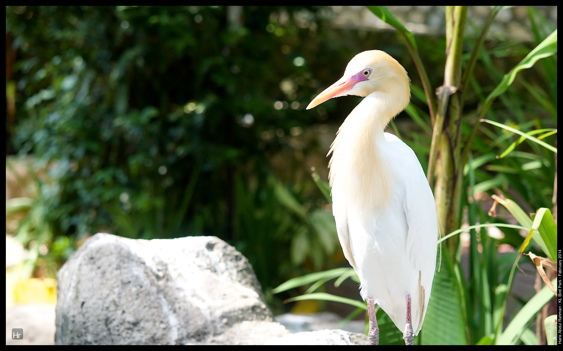 140223 KL Bird Park 1.jpg