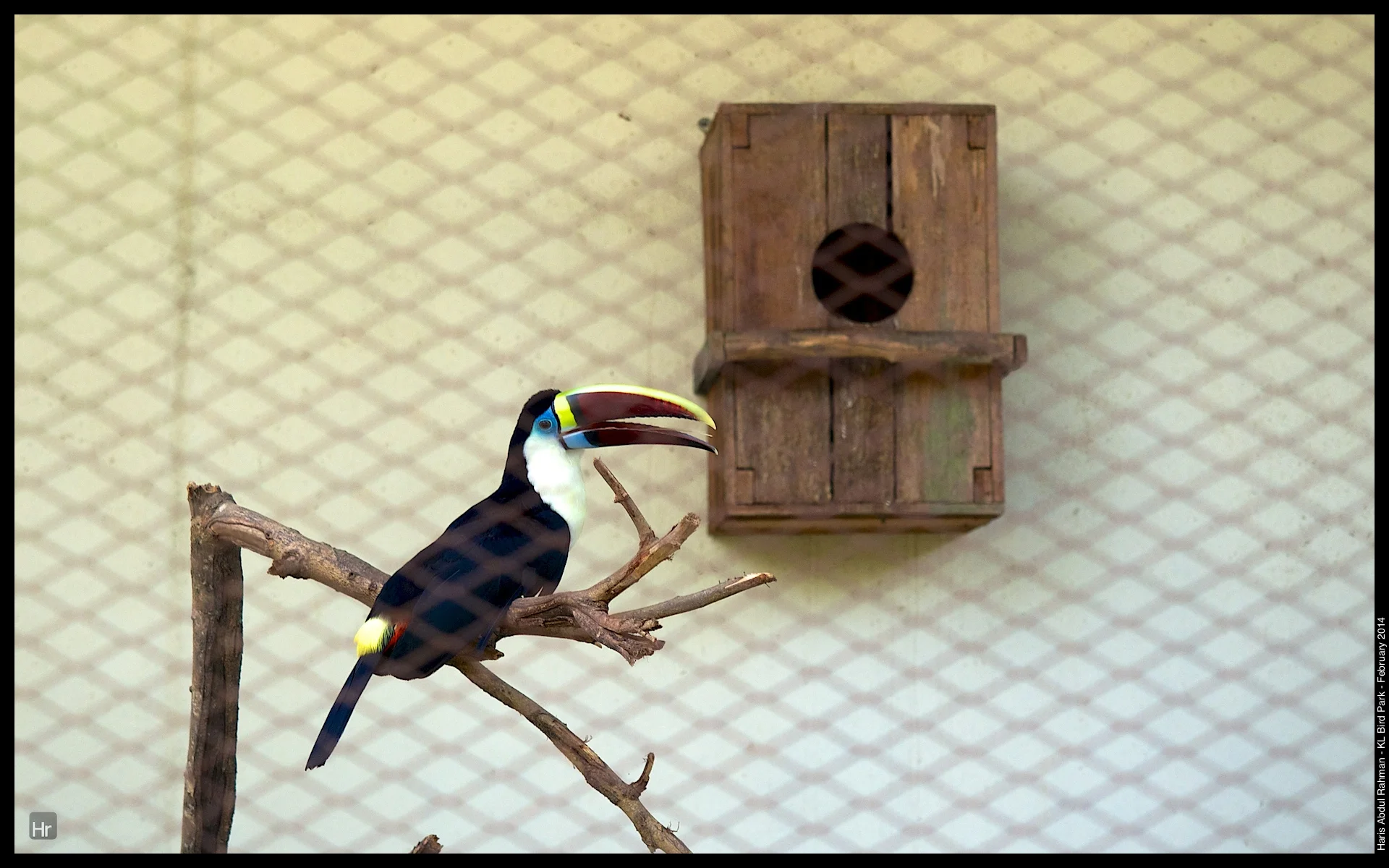 140223 KL Bird Park 7.jpg
