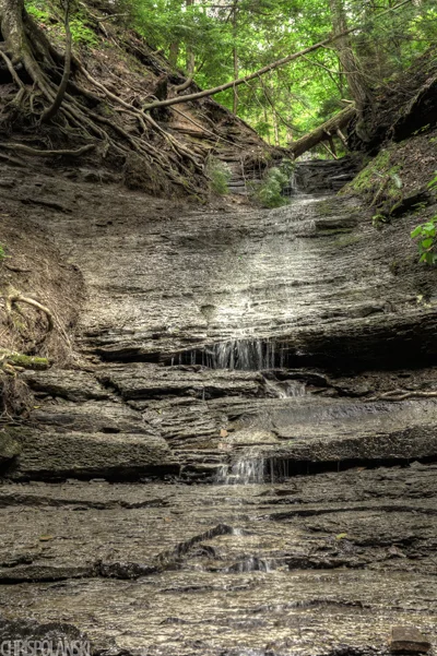 Tributary Waterfall; Chestnut Ridge Park