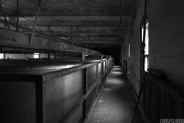 Perot Malting Elevator Interior; Silo City; Buffalo, NY
