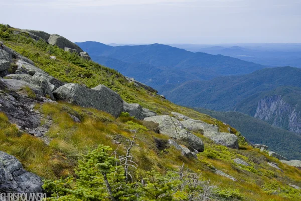 Side of Algonquin Peak
