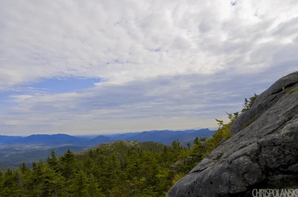 Algonquin Peak Alpine Zone