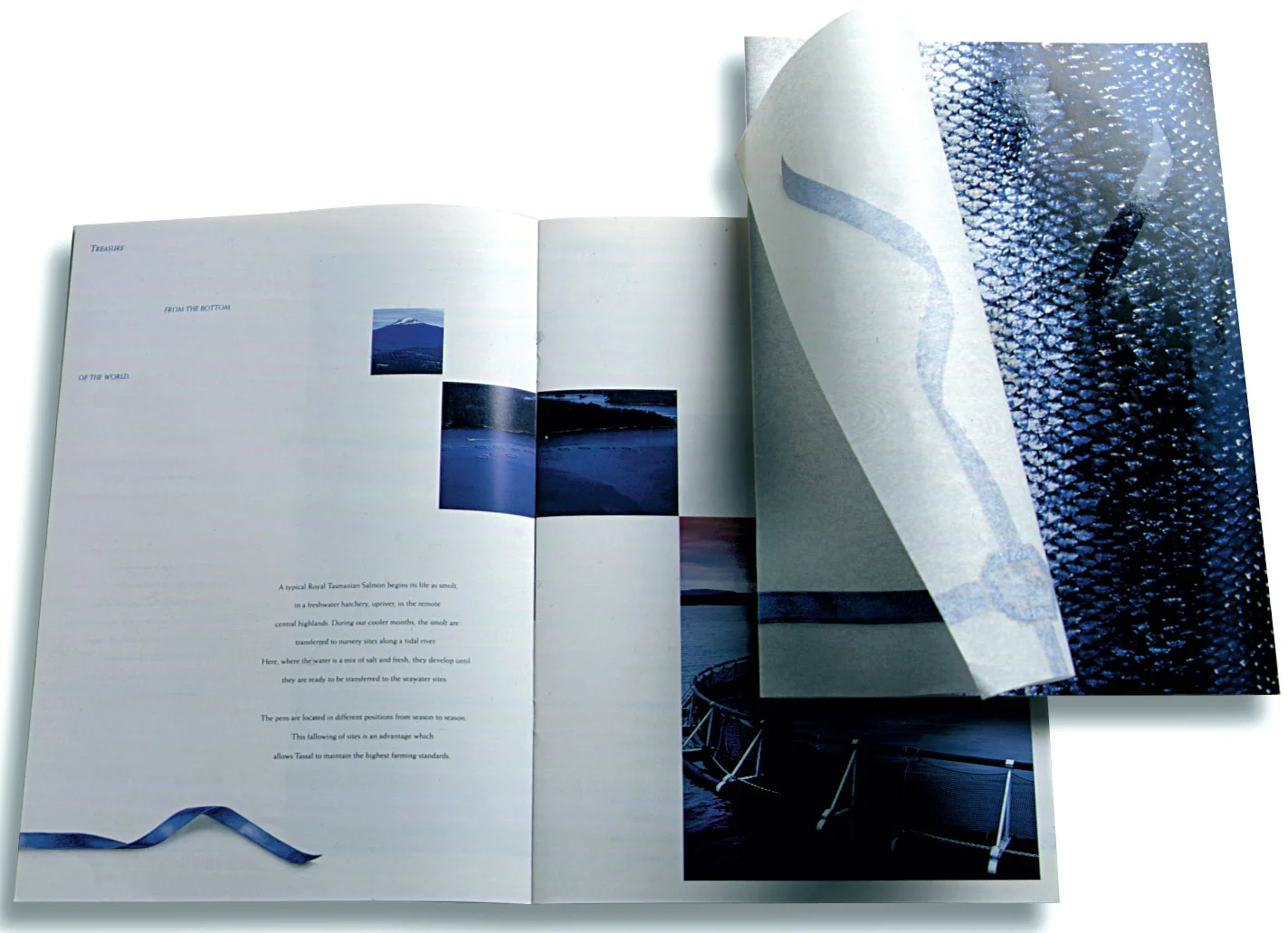 Tassal-brochure.jpg