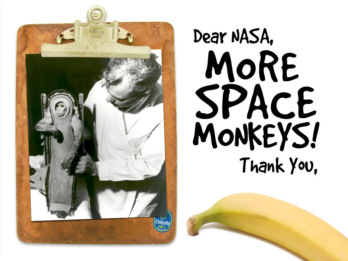 SpaceMonkeys.jpg
