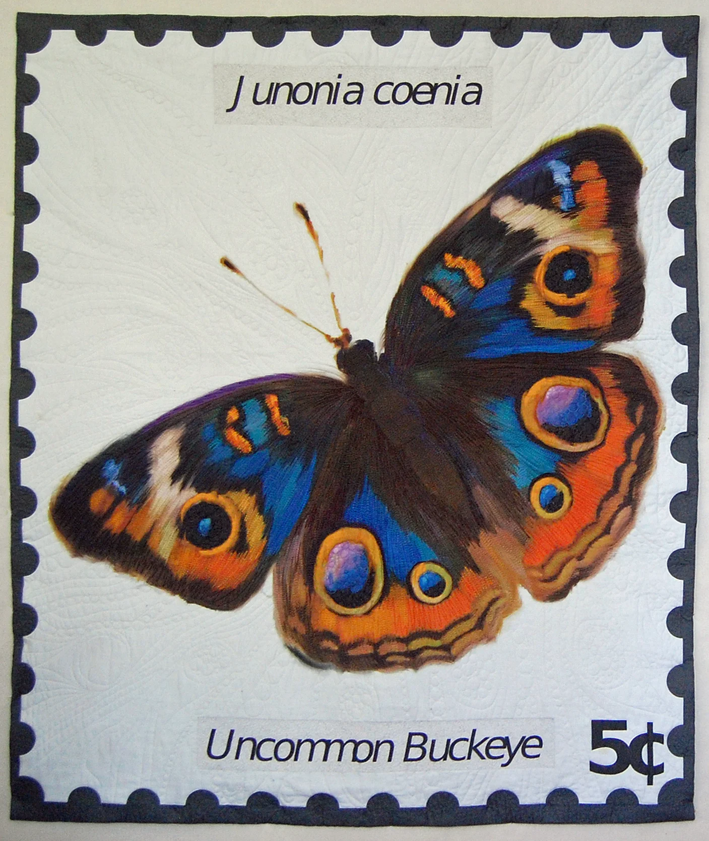 Uncommon Buckeye