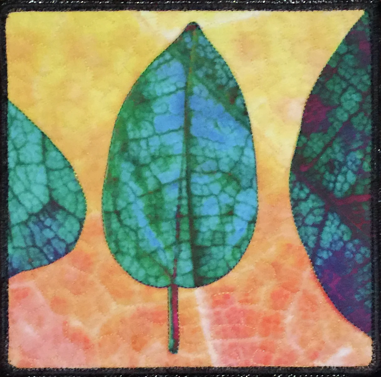 Leaf Fossils