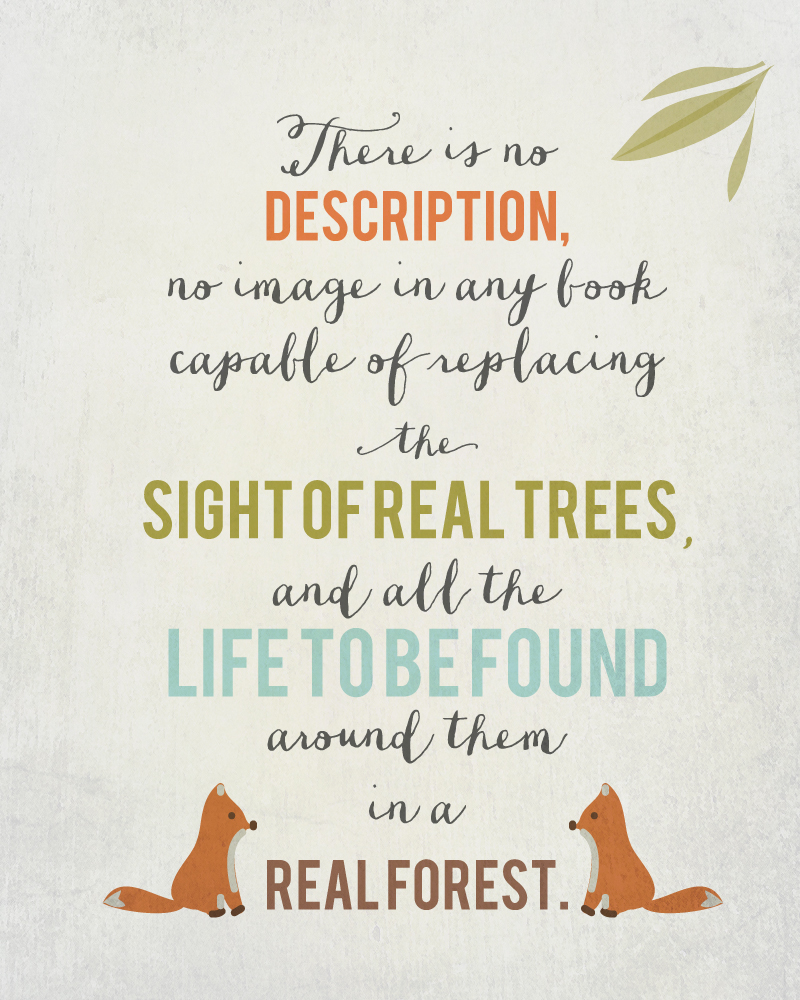 forest.jpg