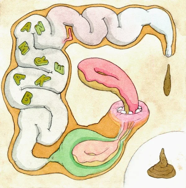 donut, the way your body works, "Bakerman"