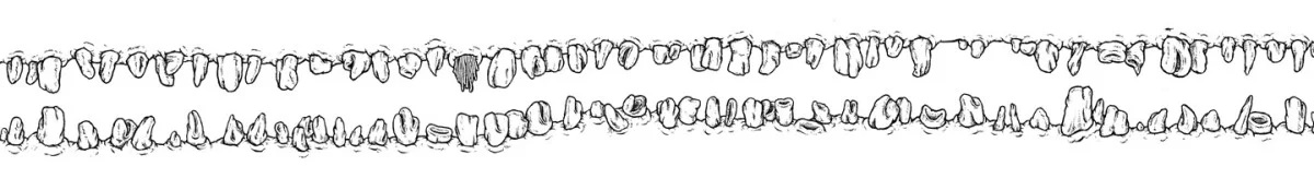 tooth_line.jpg