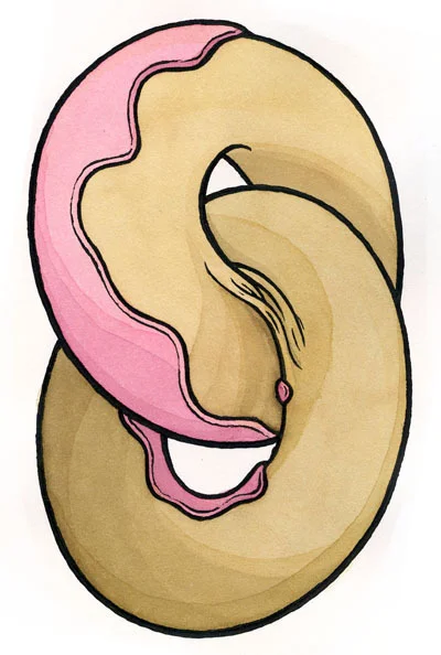 donuts 2-12-12web.jpg