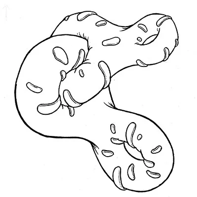 img435.jpg