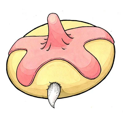 donutx-1.jpg