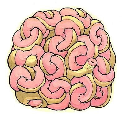 donutx-7.jpg
