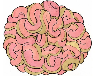 donut_ball.jpg