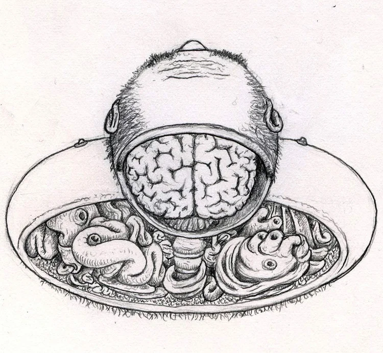 headabove_sketchbook_pencil_web.jpg
