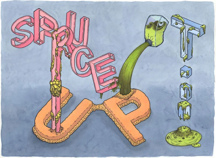 archive_spruce.jpg