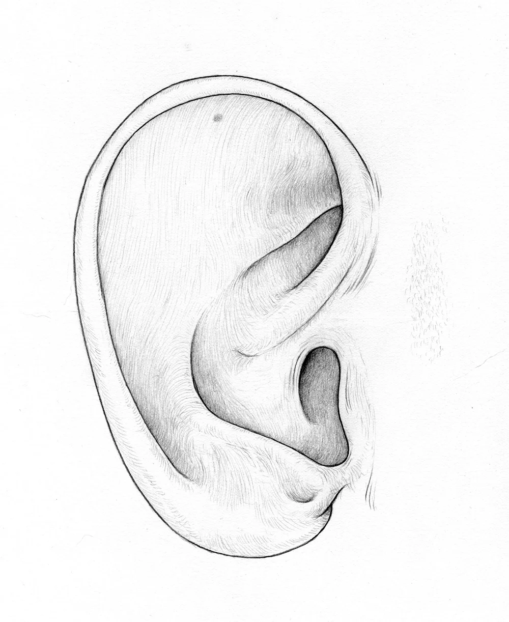LJ ear.jpg
