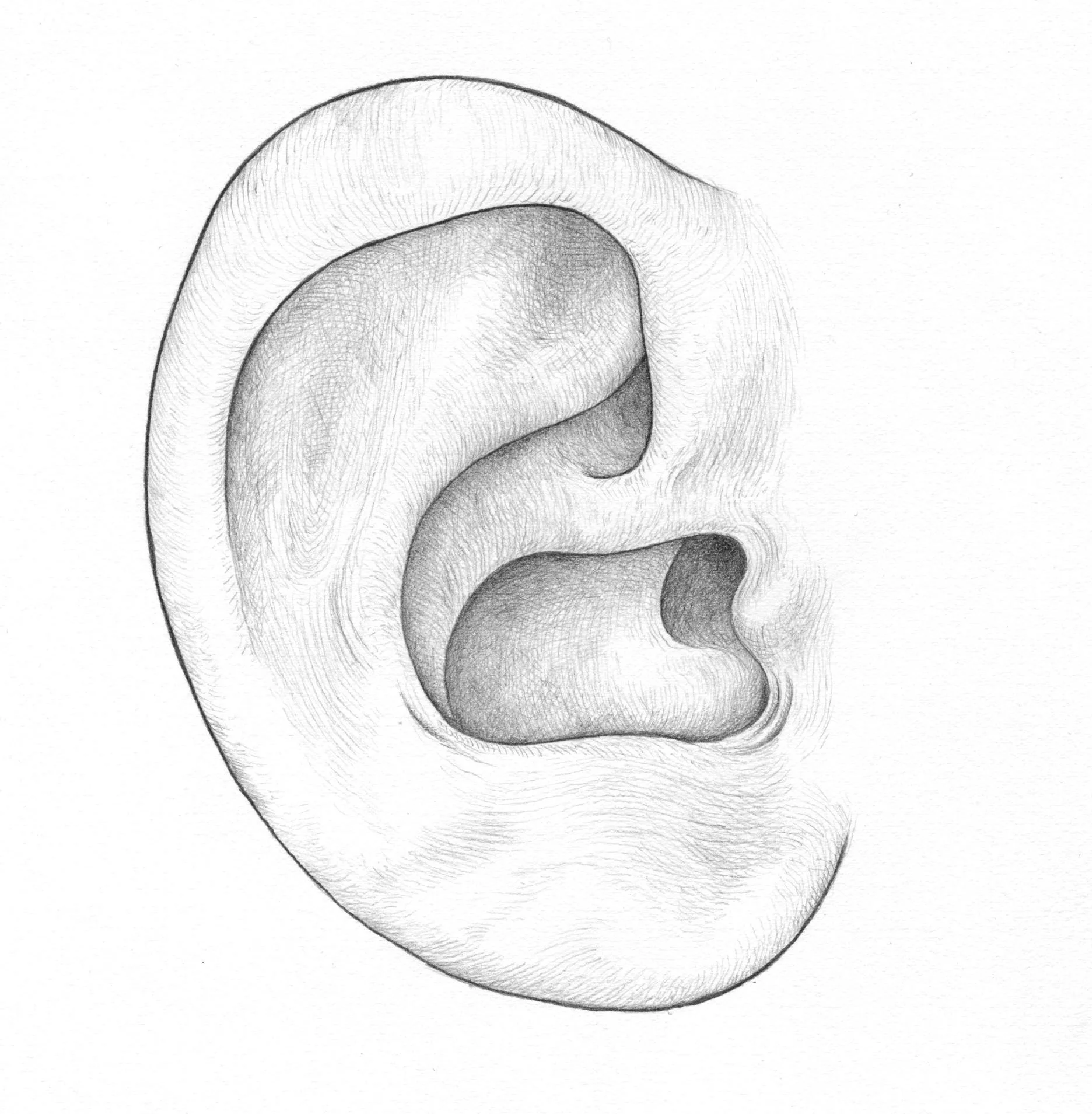 baby1.jpg