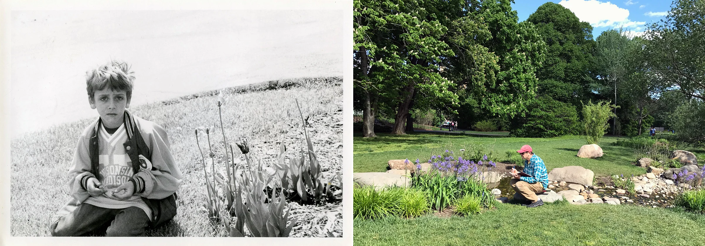 1978 and 2017