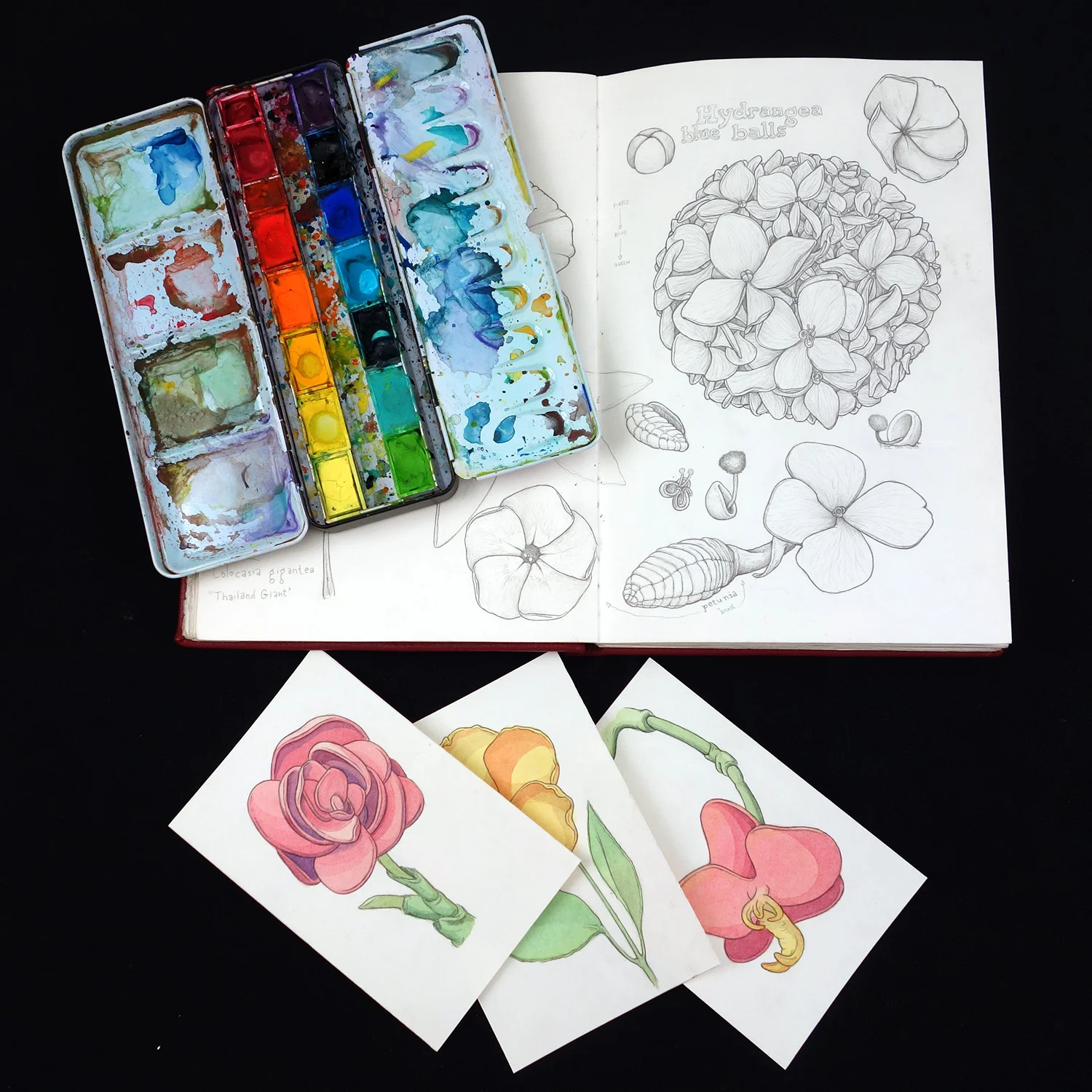 work in progress.jpg