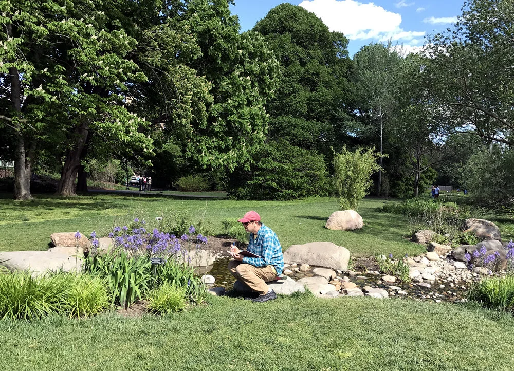 Working from life at the Brooklyn Botanic Garden, 2017.