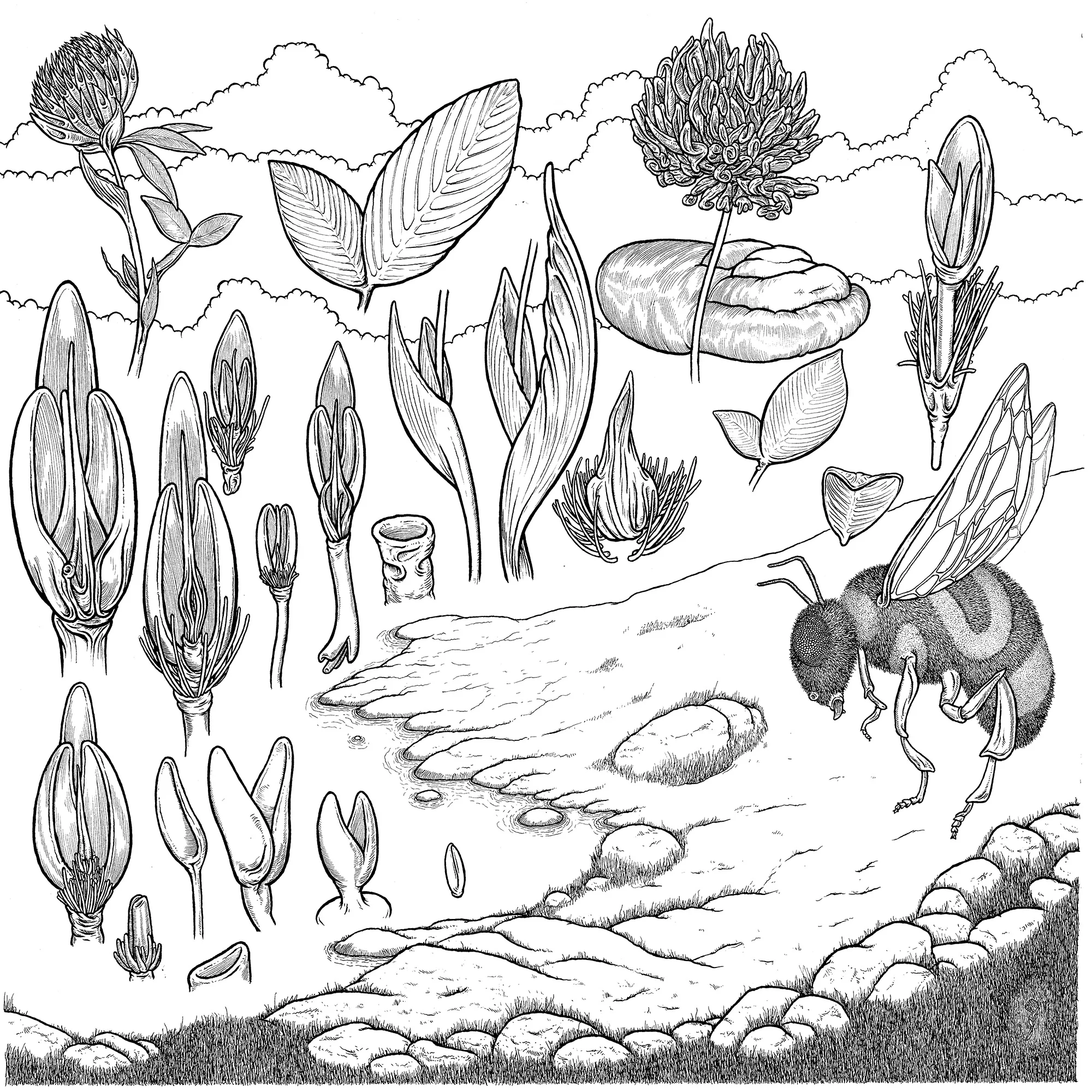 2017 pen & ink on paper. 20%22 x 20%22. More like this... .jpeg