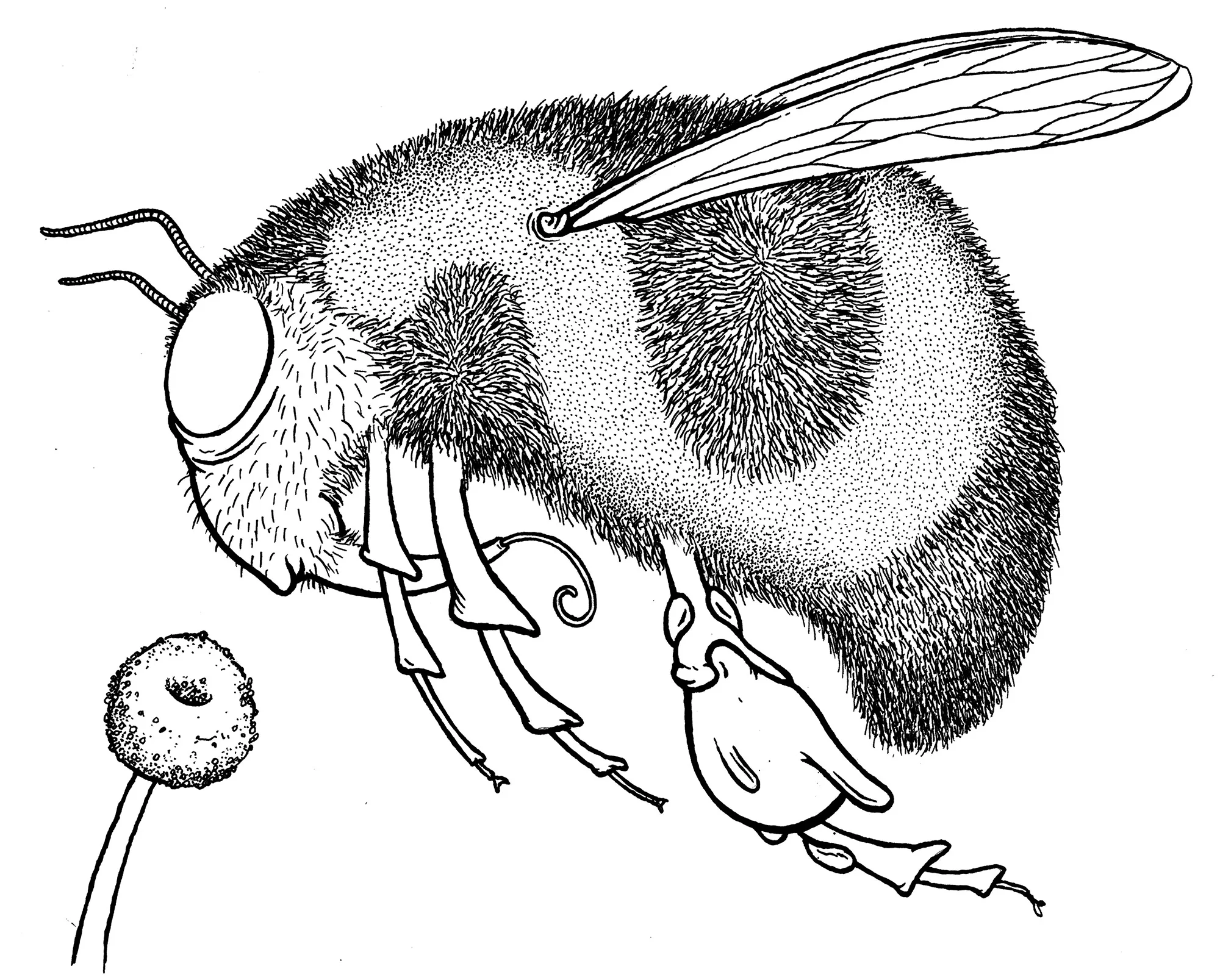 lisa-bee-ink-web.jpg