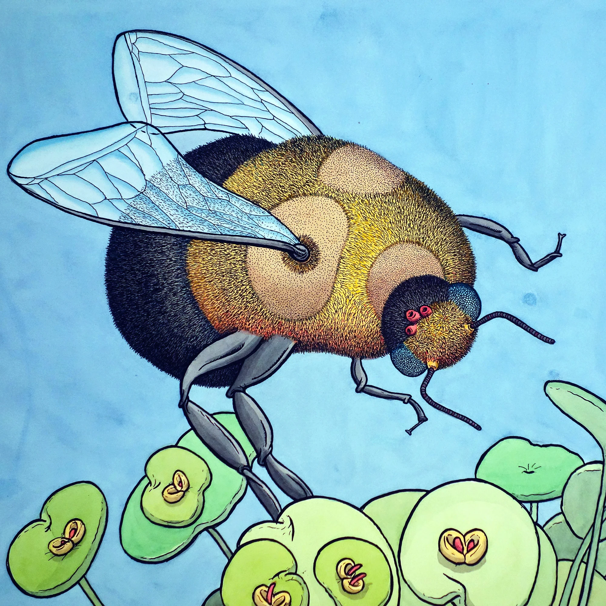 final-bee-b.jpg