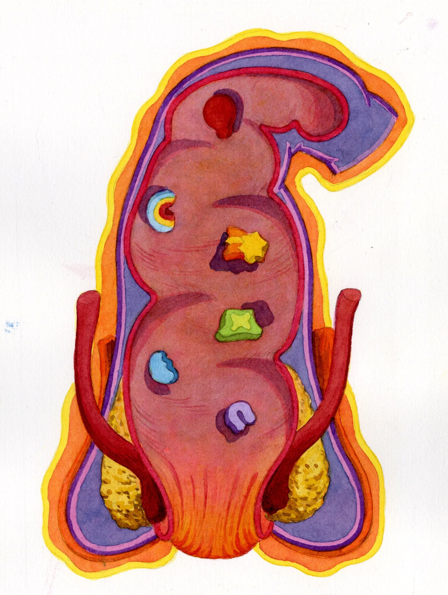 Words: Color rectal