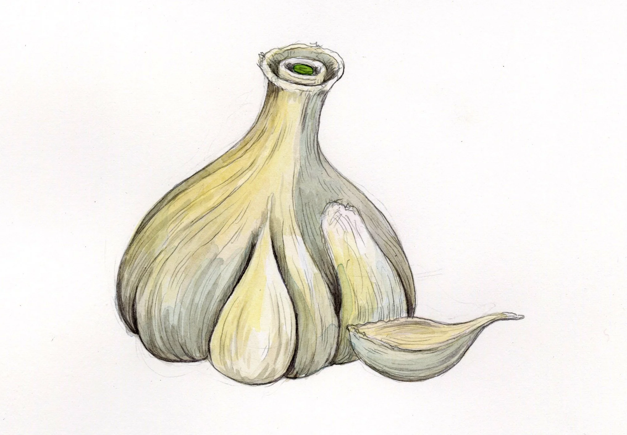 Word: Garlic