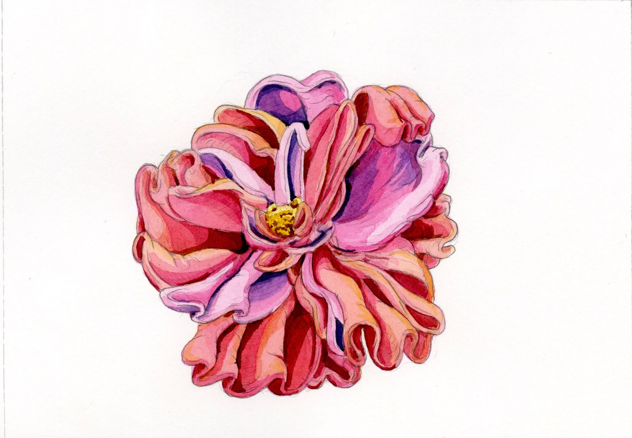 Words: flowers & anatomy