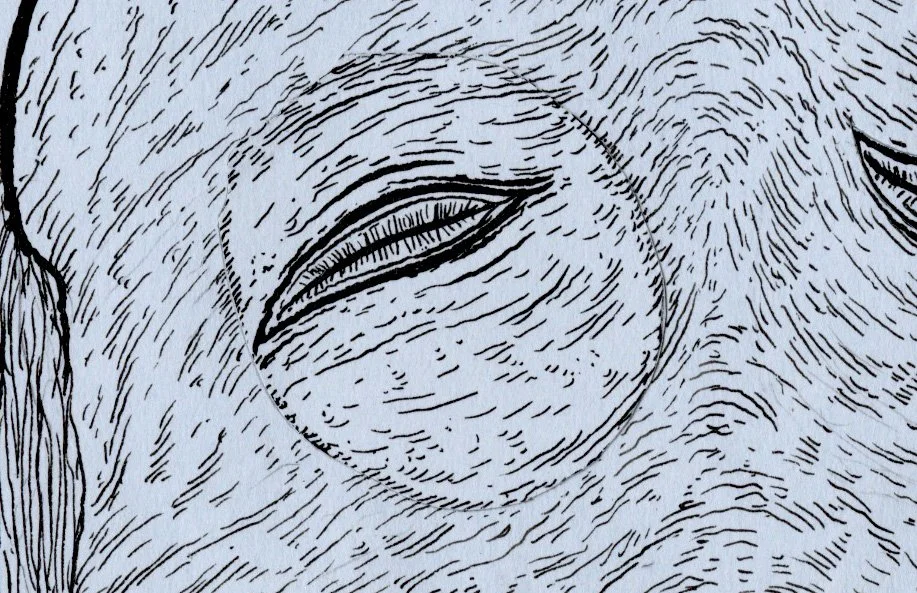 detail1.jpg