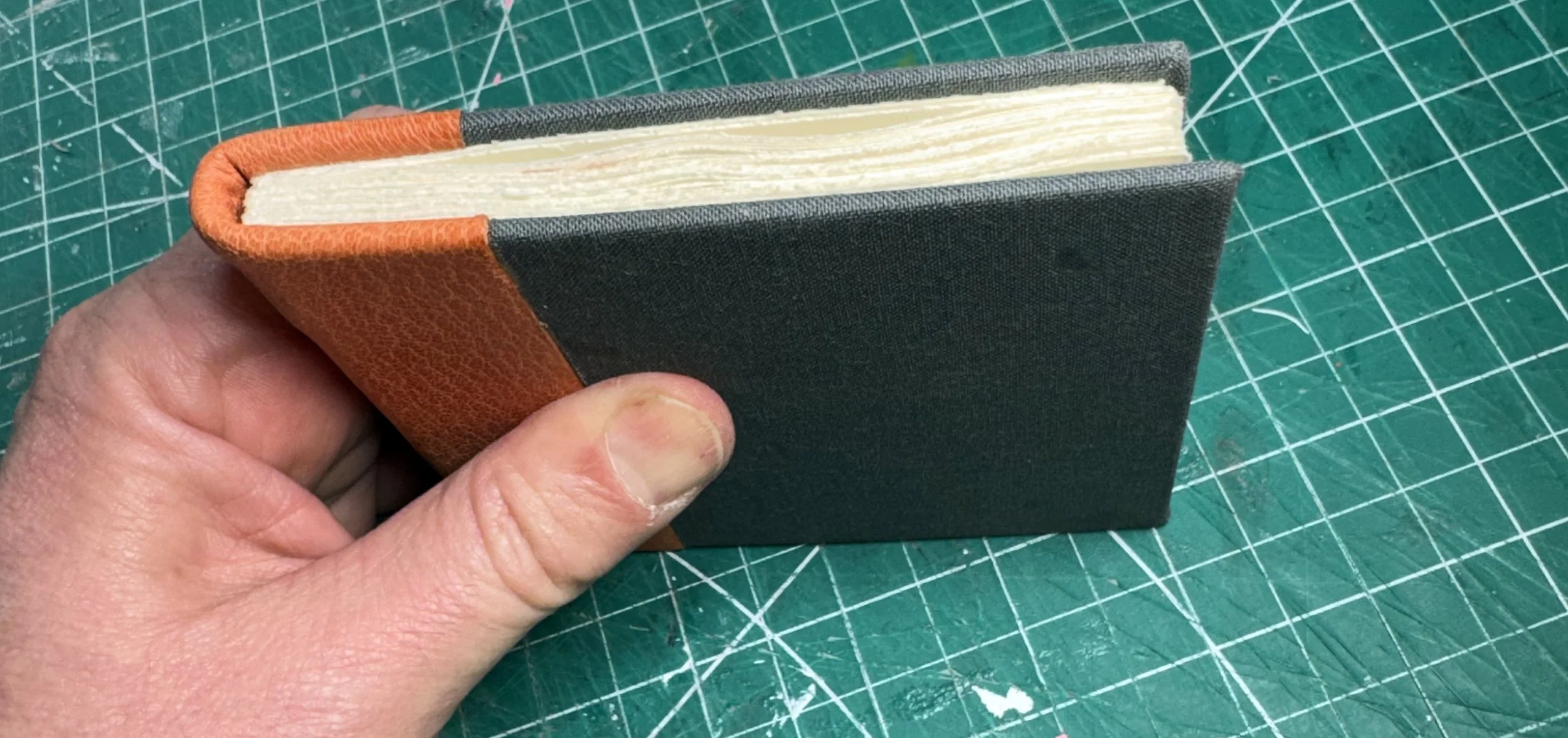 closed grif book.jpg