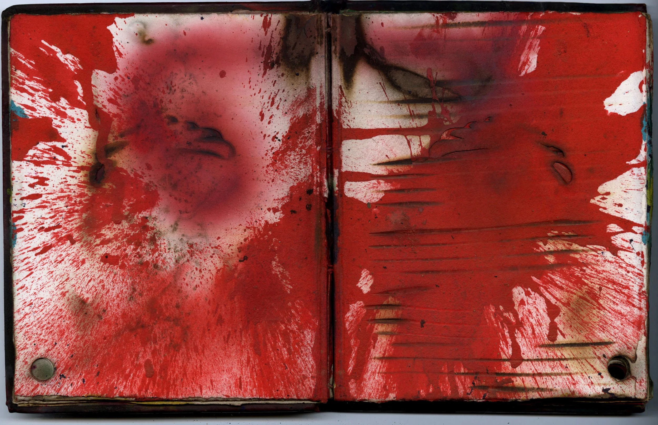 BB3v2 new scans 1 3.jpeg