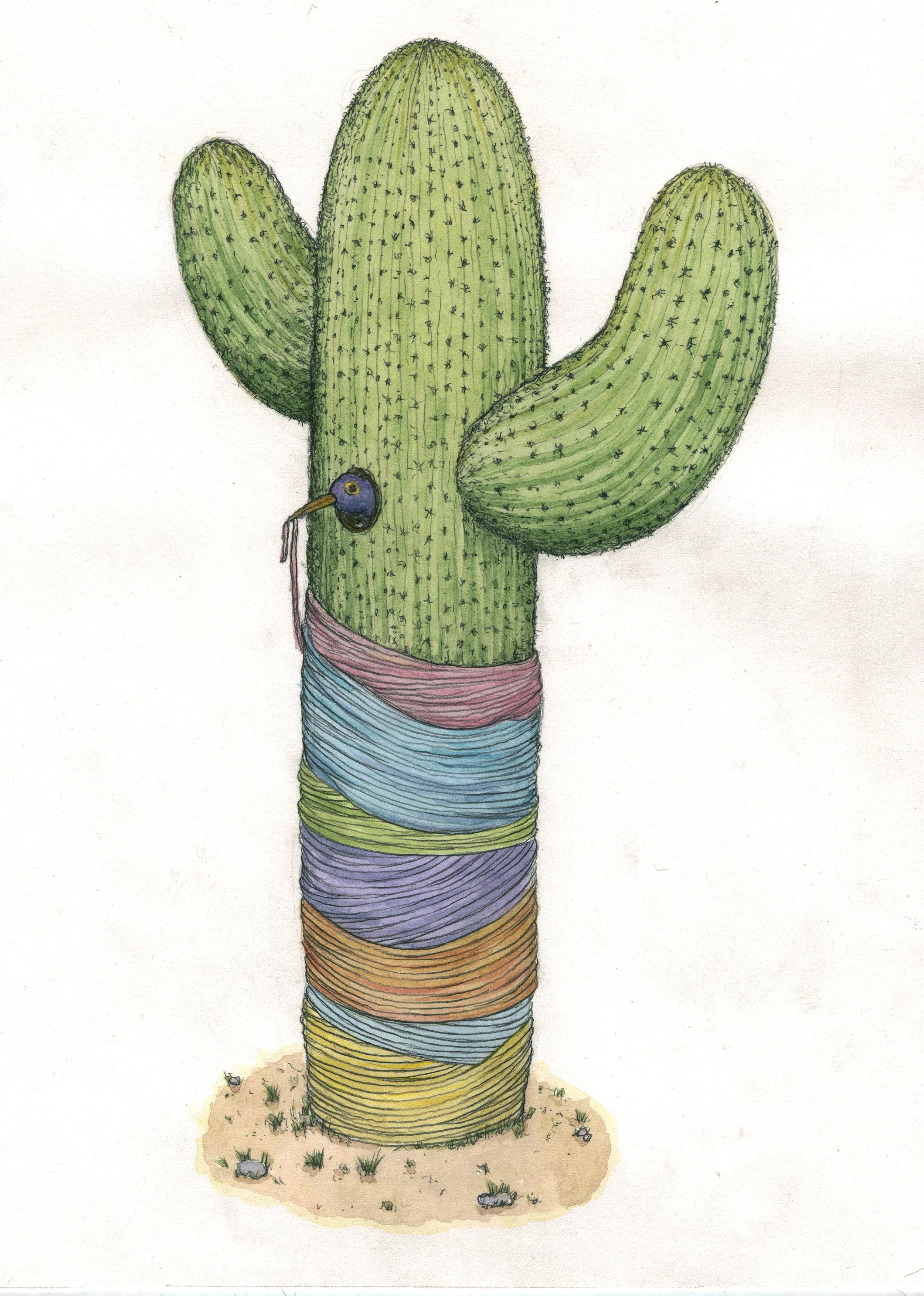 cactus yarn.jpg