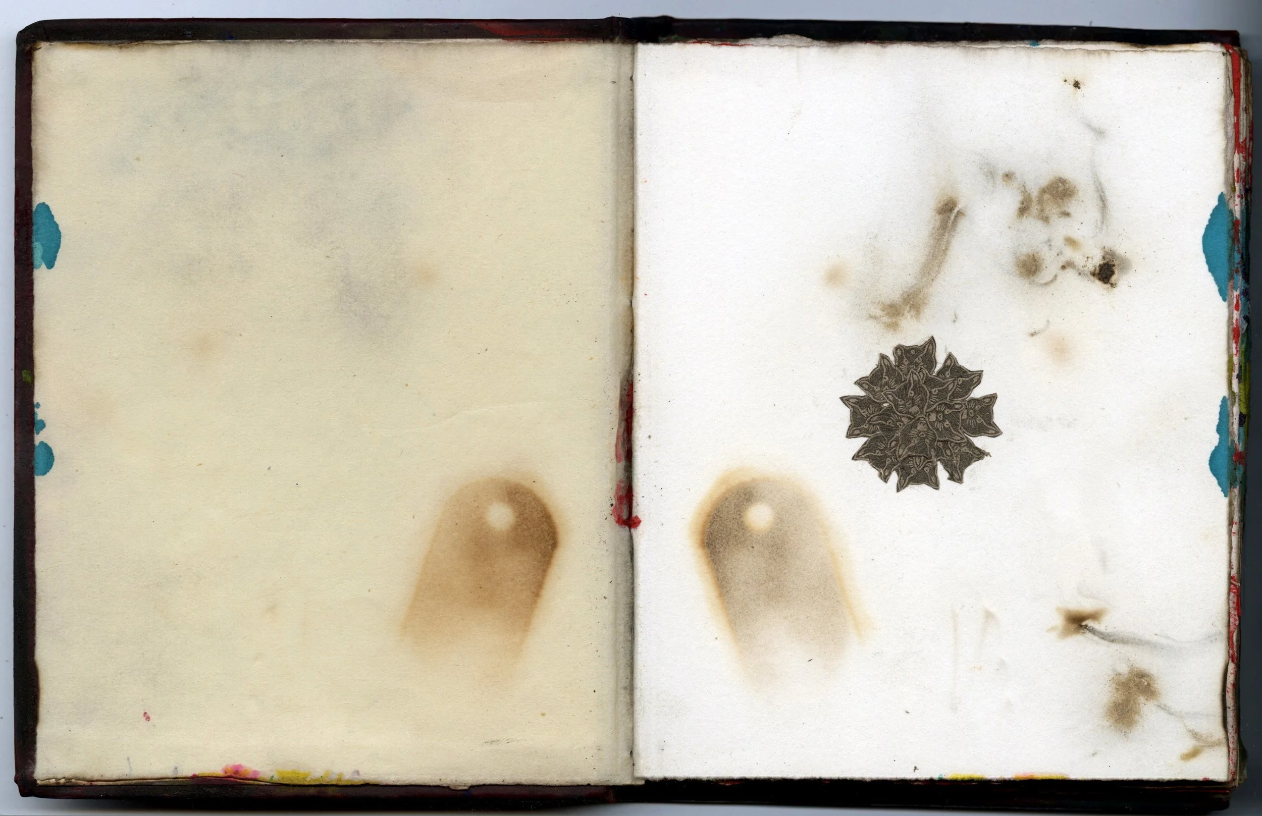 BB3v2 new scans 1.jpg