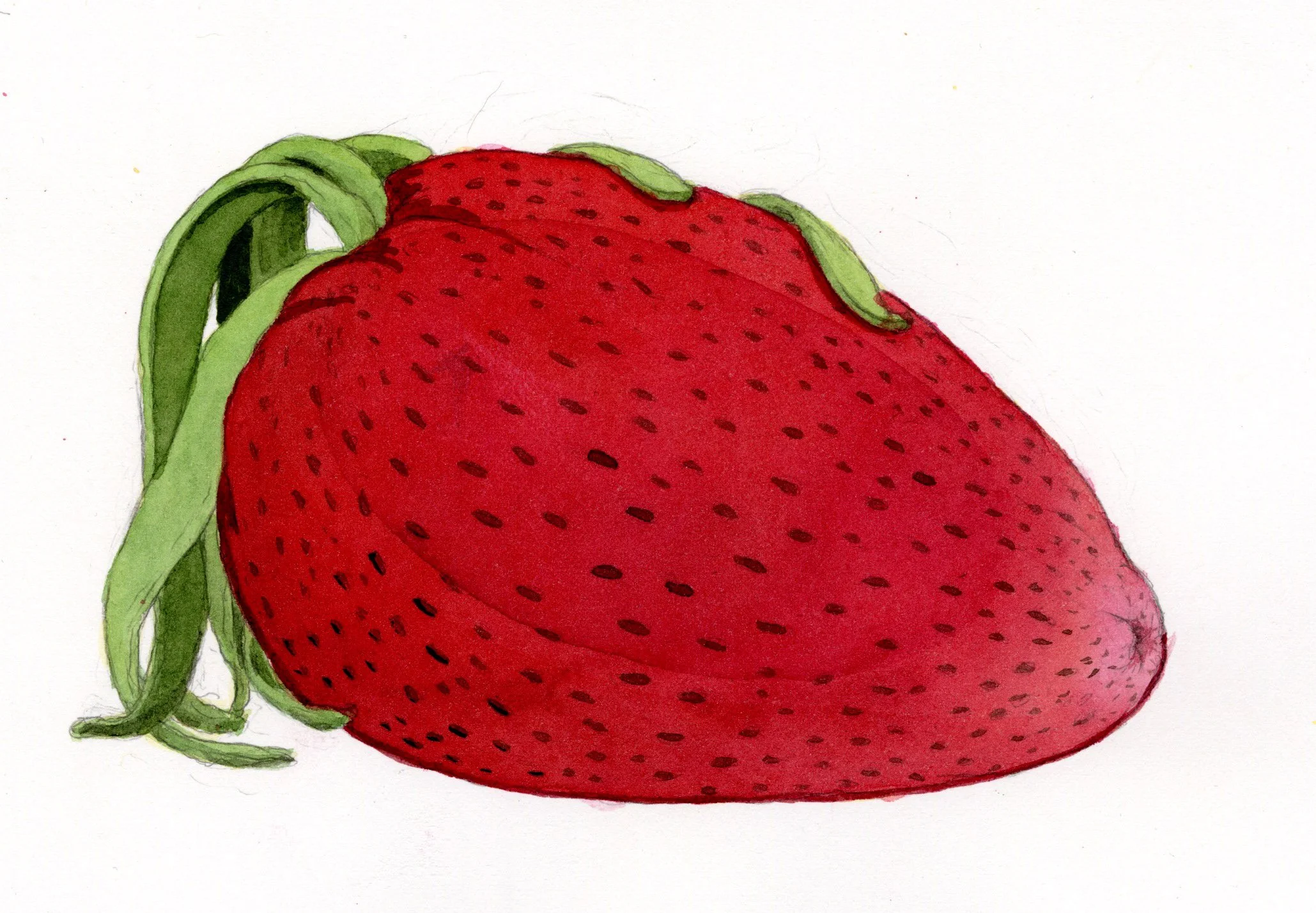 Word: Strawberry