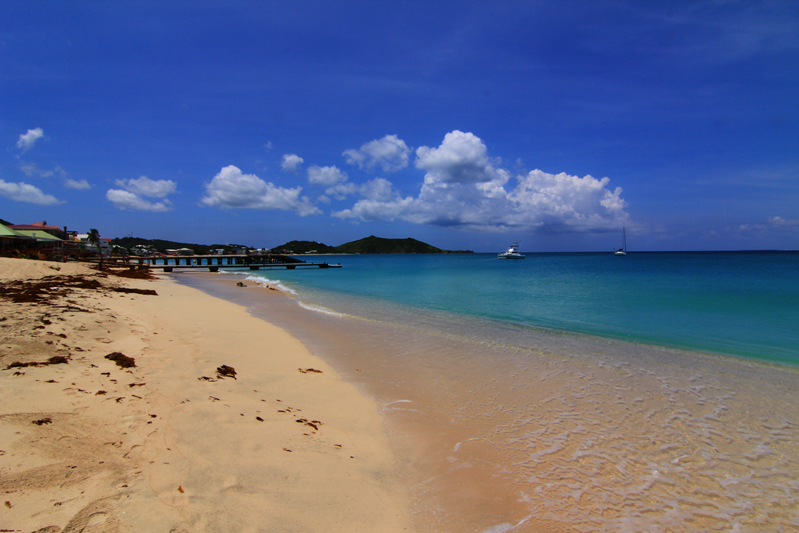 img_8039.png