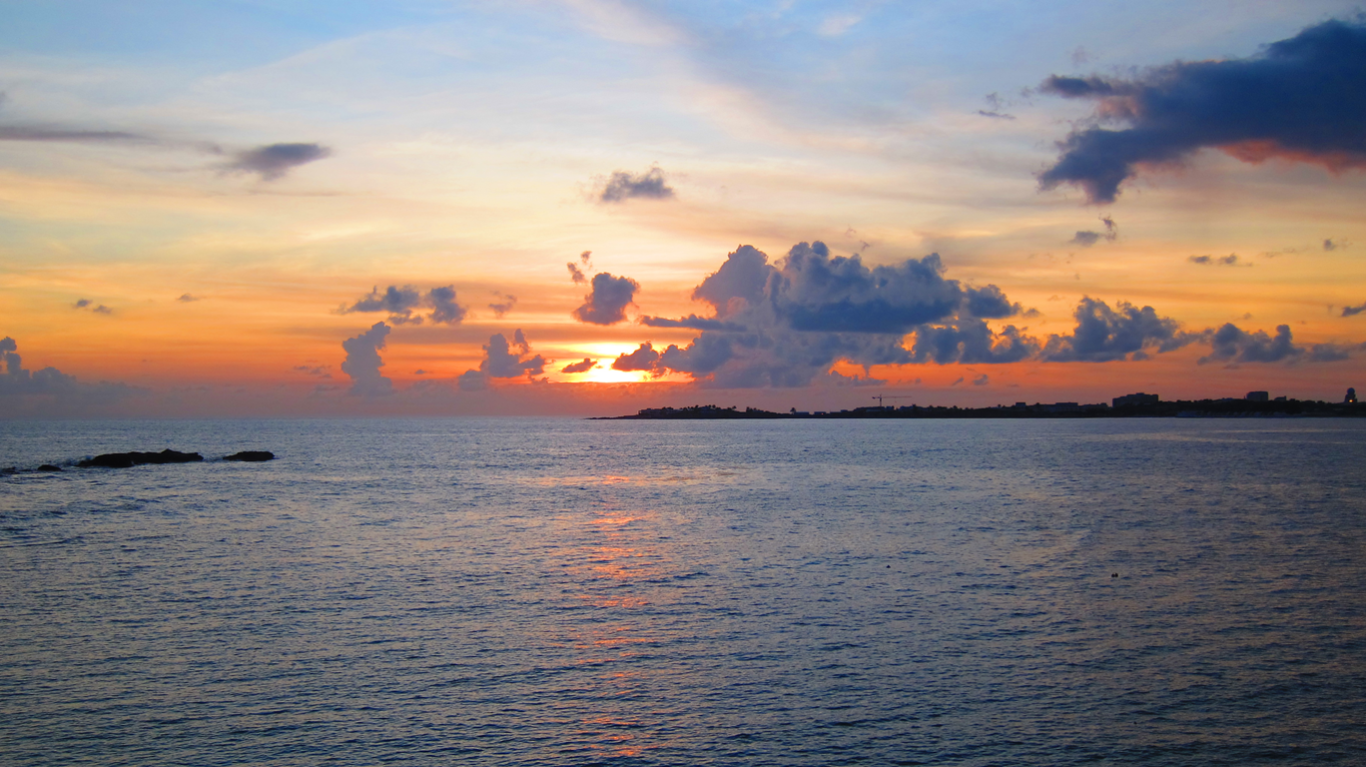 img_2466.png