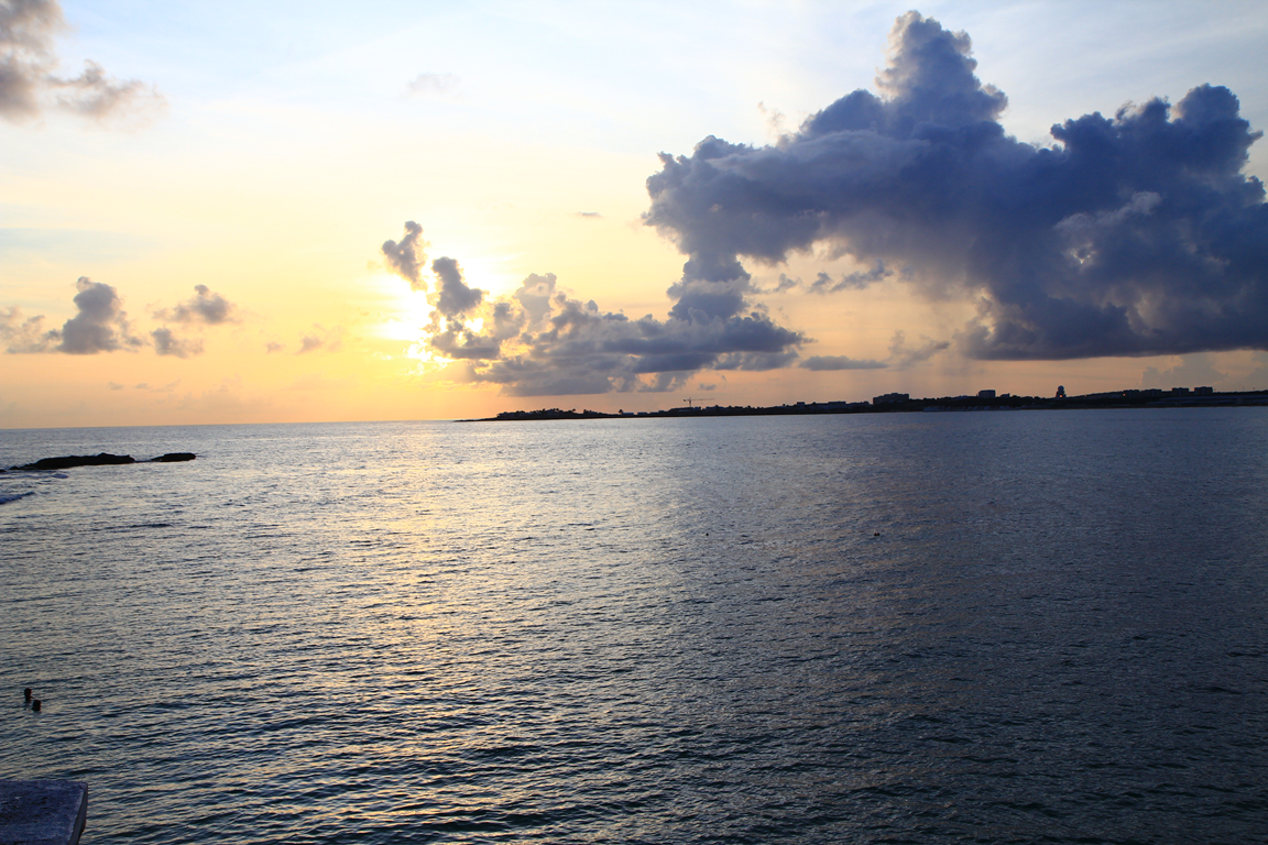 img_8029.png