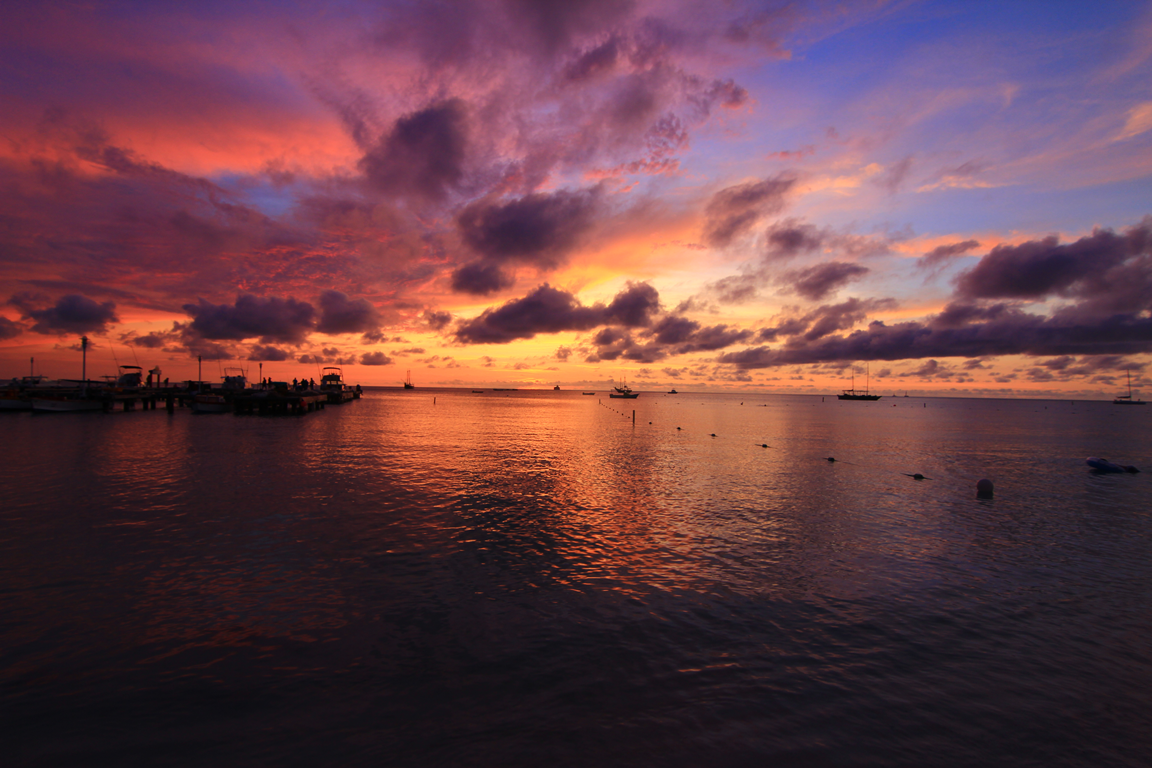 img_9128.png