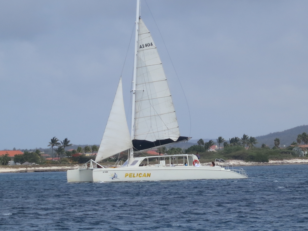 img_1525.png