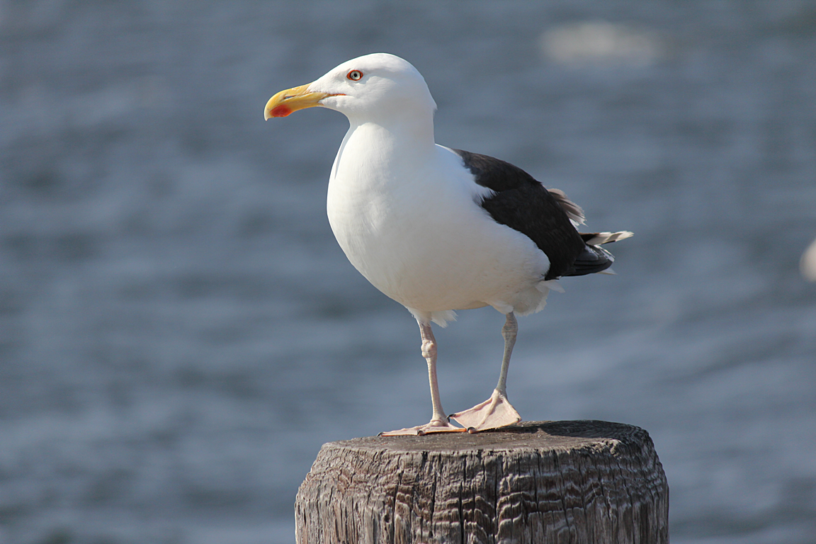 img_7138.png