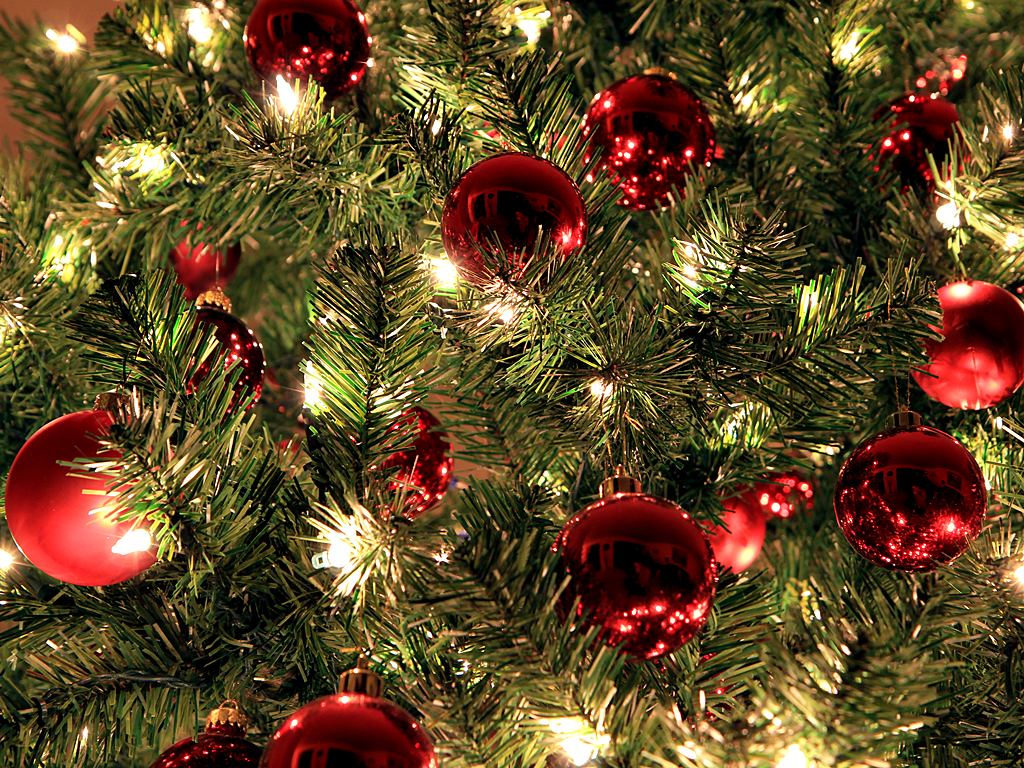 IMG_0127.png